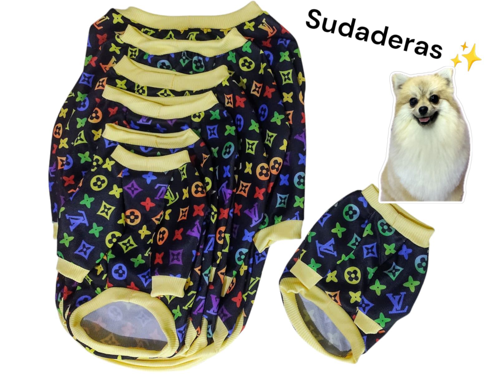 Producto 4